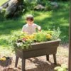 Calipso 3-in-1 Kids Gardening Self-Watering Planter Kit 1 Calipso 3-in-1 Kids Gardening Self-Watering Planter Kit -Outdoor Garden Care 8609217 0333 tif