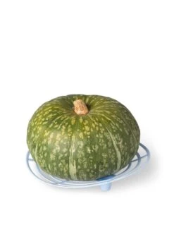 Melon And Squash Cradles, Set Of 6 -Outdoor Garden Care 8609464 5204 tif
