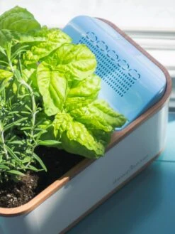 Dewplanter -Outdoor Garden Care 8609512 04V