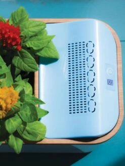 Dewplanter -Outdoor Garden Care 8609512 Dewplanter