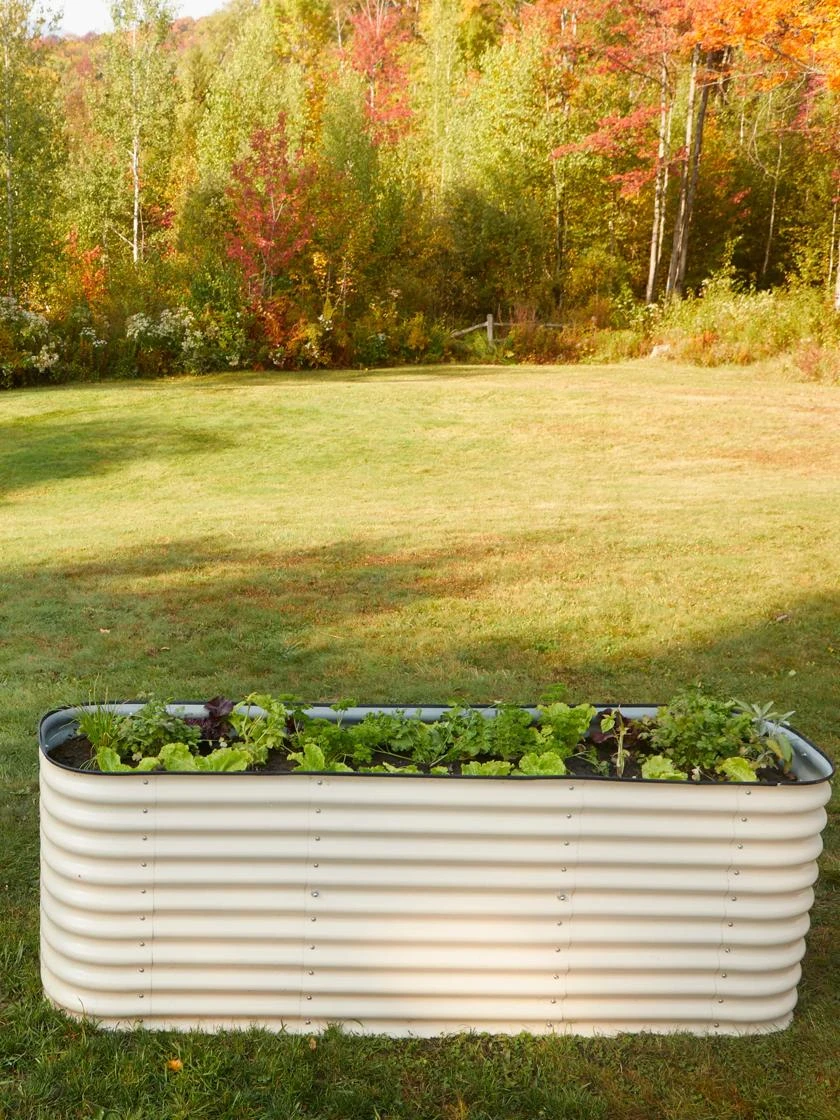 Birdies™ Modular Metal Raised Bed, Tall 5 Birdies™ Modular Metal Raised Bed, Tall - Image 3