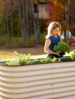 Birdies™ Modular Metal Raised Bed, Tall 12 Birdies™ Modular Metal Raised Bed, Tall -Outdoor Garden Care 8610174 5015 tif