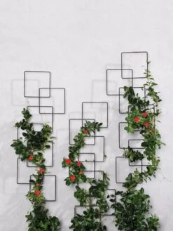 Building Blocks Wall Trellis, 45" 8 Building Blocks Wall Trellis, 45" -Outdoor Garden Care 8610183 5811 tif