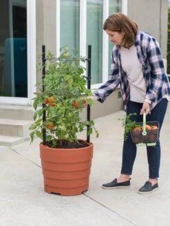 Gardener’s Victory Self-Watering Planter Garden Kit 12 Gardener’s Victory Self-Watering Planter Garden Kit -Outdoor Garden Care 8610239 06002 tif