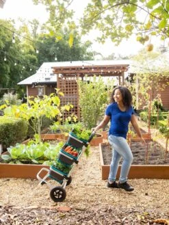 Mod Hod Trolley With Teal Mod Hods 9 Mod Hod Trolley With Teal Mod Hods -Outdoor Garden Care 8610240 0070 tif