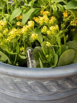 Adjustable Self-Watering Insert For Pots And Planters 21 Adjustable Self-Watering Insert For Pots And Planters -Outdoor Garden Care 8610250 0010 tif