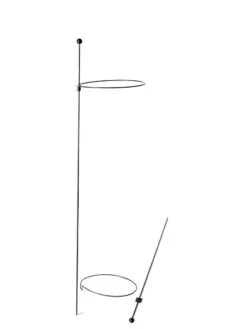 Peacock Mini Plant Support Rings 8", Set Of 2 -Outdoor Garden Care 8610388 9565 tif