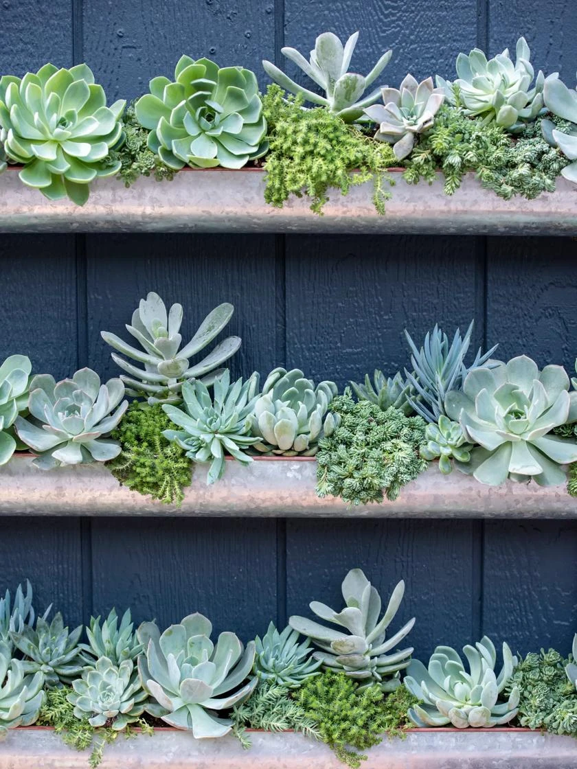 3-Tier Vertical Wall Planter, 3' 6 3-Tier Vertical Wall Planter, 3' - Image 4