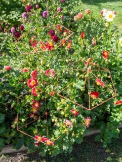 Parasol Plant Supports, Set Of 3 -Outdoor Garden Care 8611129 050 tif