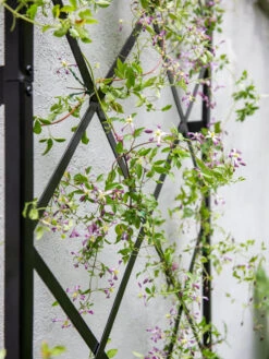 Lattice Gable Wall Trellis -Outdoor Garden Care 8611130 011