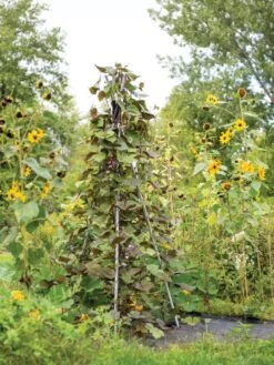 DIY Connector For Teepee Trellis -Outdoor Garden Care 8611896 062 tif