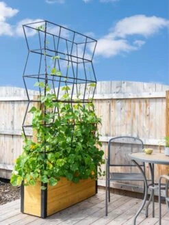 Self-Watering Partition Planter -Outdoor Garden Care 8611952 4825 tif