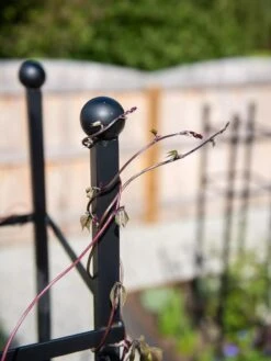 Essex Square Obelisk 12 Essex Square Obelisk -Outdoor Garden Care 8611984 278 tif