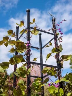 Essex Square Obelisk 10 Essex Square Obelisk -Outdoor Garden Care 8611984 354 tif