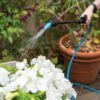 Indoor Outdoor Plant Sprayers -Outdoor Garden Care 8611993 029 tif