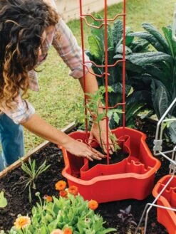 Deluxe Tomato Halos, Set Of 2 14 Deluxe Tomato Halos, Set Of 2 -Outdoor Garden Care 8612045 135 tif