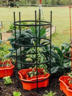 Deluxe Tomato Halos, Set Of 2 16 Deluxe Tomato Halos, Set Of 2 -Outdoor Garden Care 8612045 228 tif