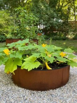Birdies™ Corten Steel Round Raised Beds -Outdoor Garden Care 8612422 0484 tif