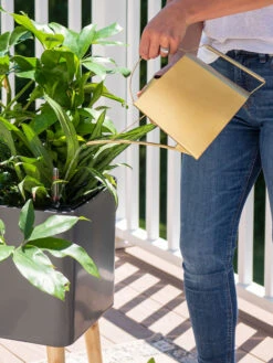 Precision Brass Watering Can -Outdoor Garden Care 8612691 0011