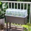 Self-Watering Standing Salad Planter With Cloche -Outdoor Garden Care 8612702 2032 tif