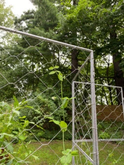 Chicken Wire Pea Trellis -Outdoor Garden Care 8612718 7302