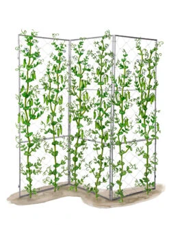 Chicken Wire Pea Trellis -Outdoor Garden Care 8612718 peatrellis art chicken wire pea trellis