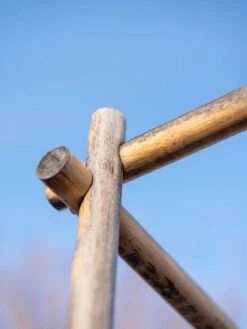 Bamboo Tomato Cages, Set Of 3 -Outdoor Garden Care 8613143 0385 2