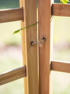 Bamboo Zig-Zag Trellis 24" X 36" -Outdoor Garden Care 8613151 6483