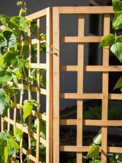 Bamboo Zig-Zag Trellis 24" X 36" -Outdoor Garden Care 8613151 6491