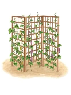 Bamboo Zig-Zag Trellis 24" X 36" -Outdoor Garden Care 8613151 art flat