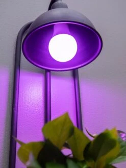 Kira Grow Light Hanging Planter -Outdoor Garden Care 8613232 5663