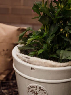 Hortiwool ®, 5 Pad Pack 16 Hortiwool ®, 5 Pad Pack -Outdoor Garden Care 8613263 17v