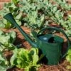 Long Reach Watering Can, Large -Outdoor Garden Care 8613346 0149