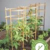 Bamboo Tomato Cages, Set Of 3 1 Bamboo Tomato Cages, Set Of 3 -Outdoor Garden Care 8613426 7