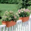 2' X 4' Railing Planter, 25" -Outdoor Garden Care GS34336 01 24 inch 2x6 railing planters