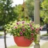 Self-Watering Hanging Basket -Outdoor Garden Care GS34368 10 tif