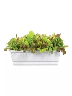 31" Self-Watering Window Box -Outdoor Garden Care GS36523 01Z 3 4
