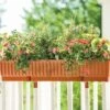 39" Self-Watering Window Box