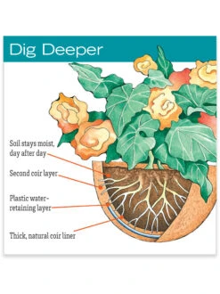 AquaSav™ Replacement Liners, Set Of 3 8 AquaSav™ Replacement Liners, Set Of 3 -Outdoor Garden Care hiw 38 583