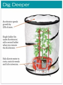 Tomato TLC Kits, Set Of 3 11 Tomato TLC Kits, Set Of 3 -Outdoor Garden Care hiw 8594214 jpg